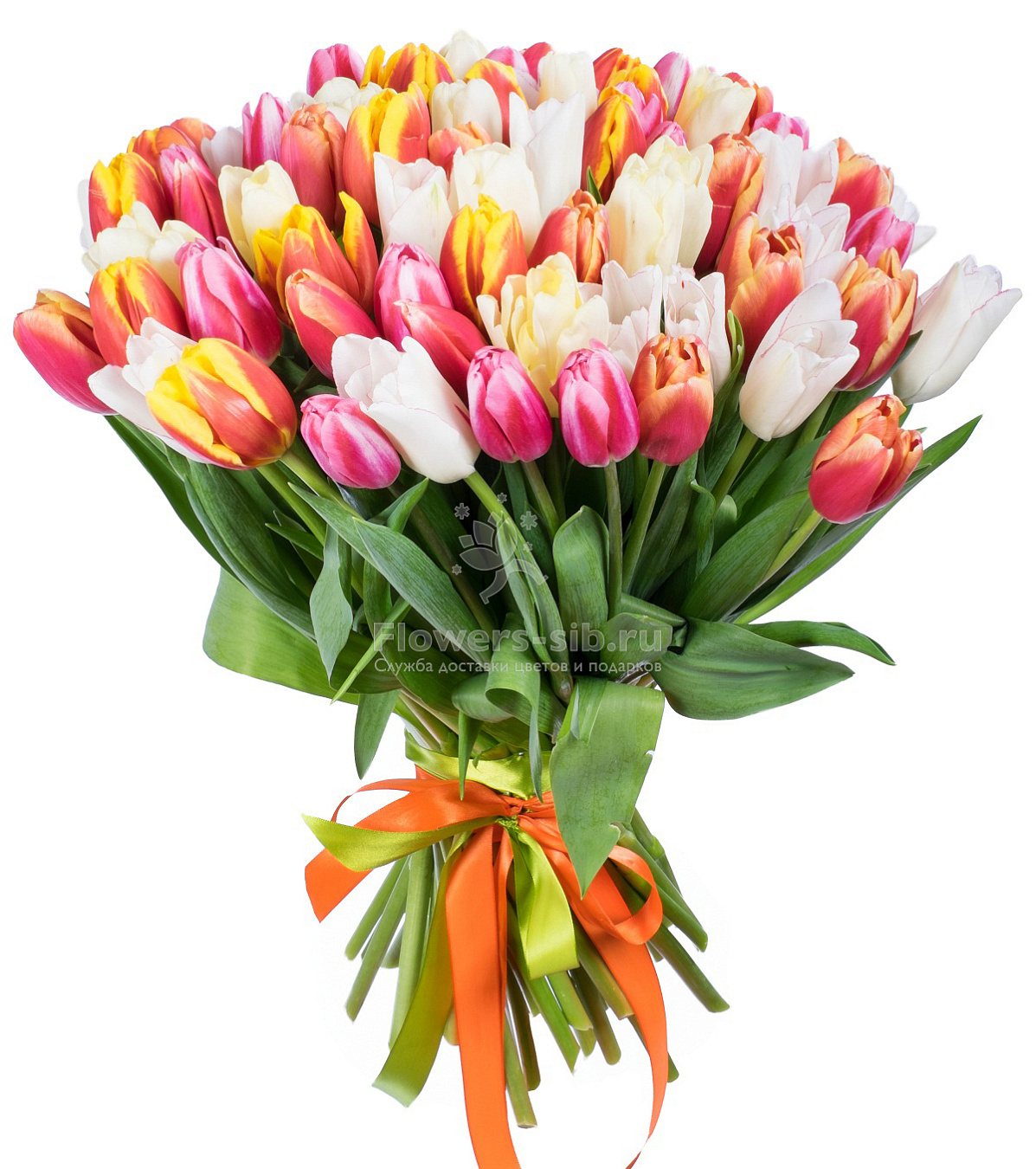 Bouquet of 75 tulips